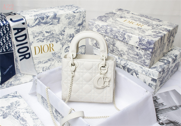 Dior Bags AAA 003